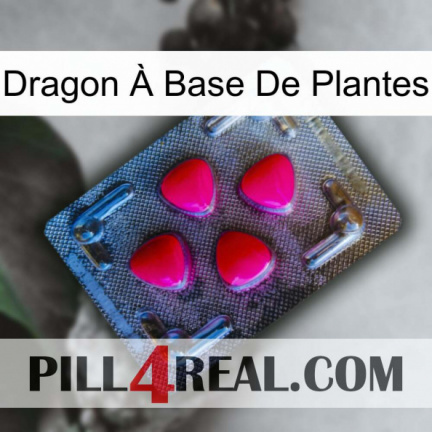 Dragon À Base De Plantes 13